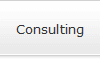 Consulting